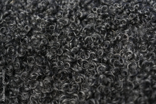 Photos Black soft wool texture close up of sheep