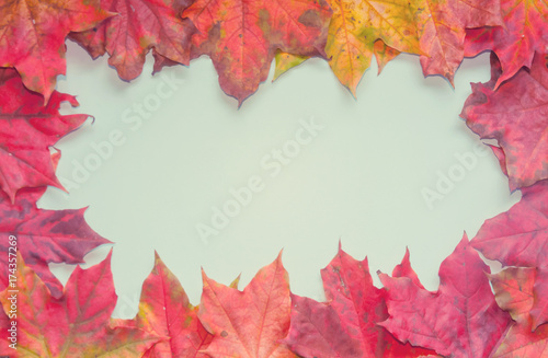 The background. The blank is blue  framed by bright colored maple leaves. Autumn.