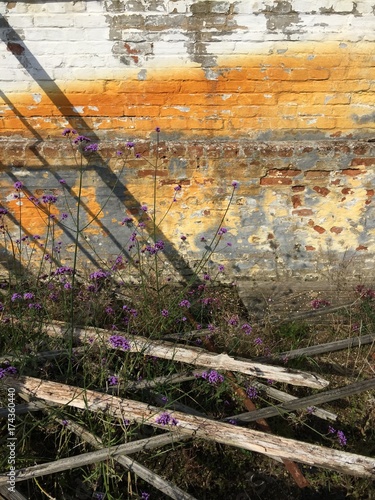 Large derelict garden cold frame. With grunge wall texture. photo