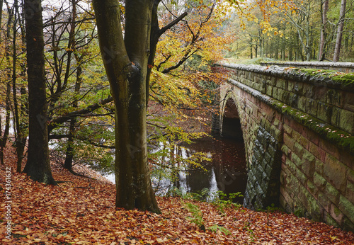 Stone bridge and autumnal woodland. Derbyshire, UK.