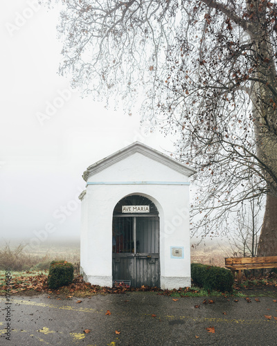 Tiny chapel entitled to Holy Mary under leafless tree in italian countryside