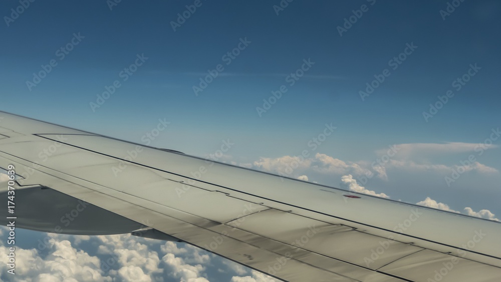 Plane wing 4 Plane wing 4
