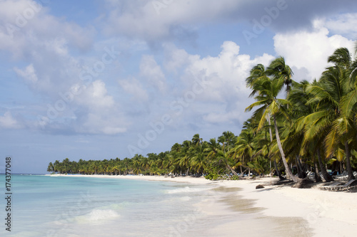 Coconut Palm trees on white sandy beach in Saona island