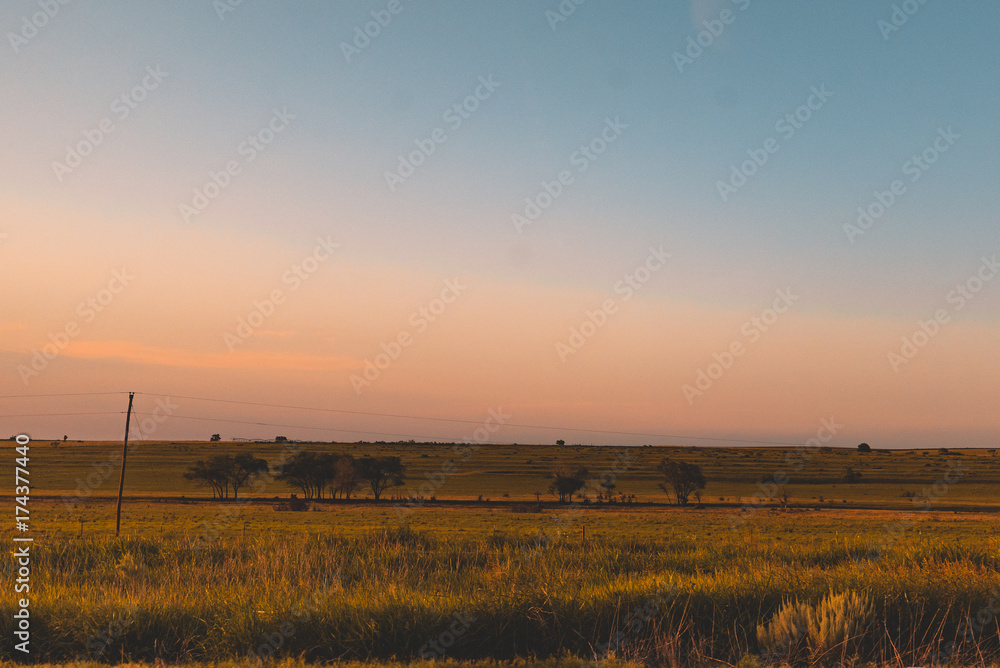 Field at Sunset