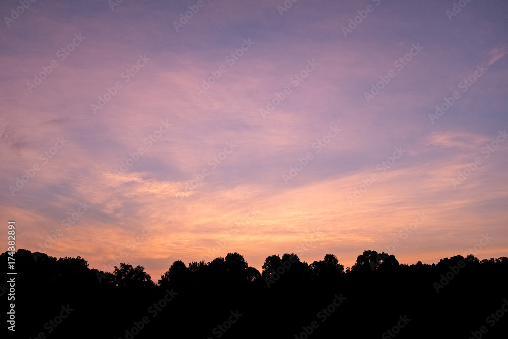 The pre-sunrise sky over the Talladega National Forest in Alabama, USA The pre-sunrise sky over the Talladega National Forest in Alabama, USA