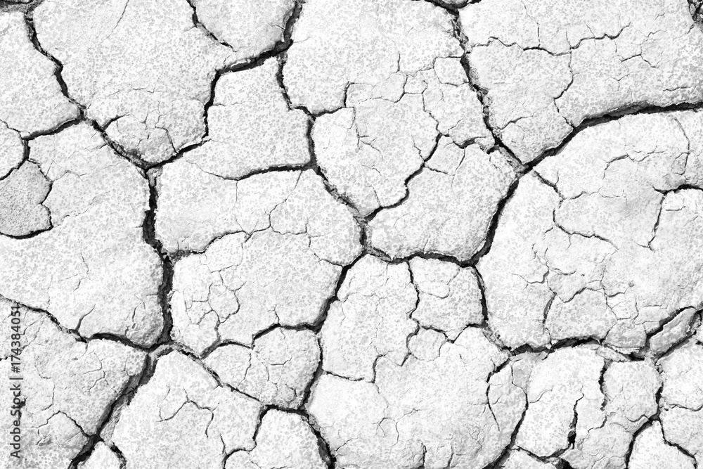 Black and white image of crack soil texture background Black and white image of crack soil texture background