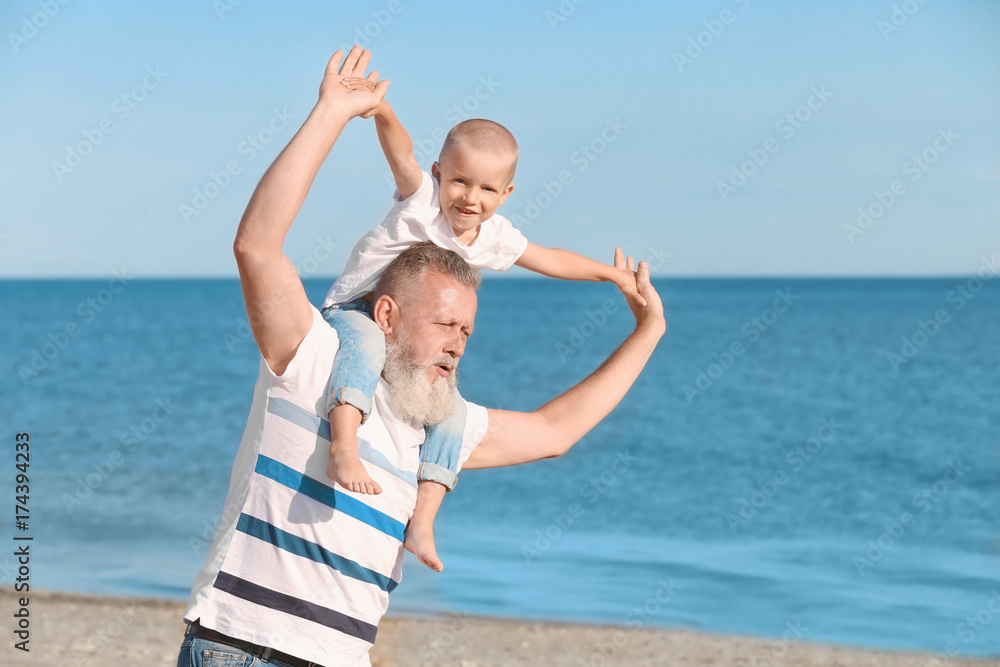 Fototapeta premium Elderly man playing with grandson on sea beach