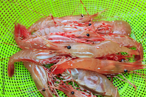 Fresh raw seafood selling at fish market photo