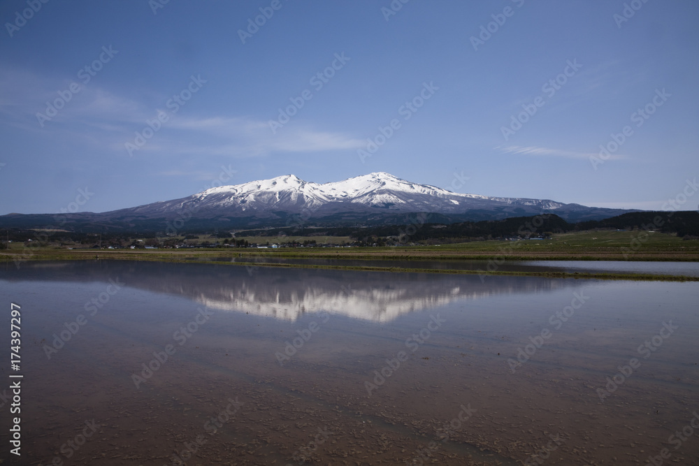 水田に映る鳥海山