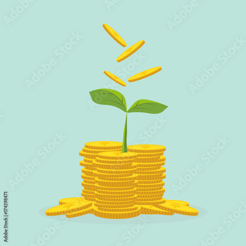 Plant Growing In Savings Coins - Investment And Interest Concept ,Business investment growth concept,with stack money coin