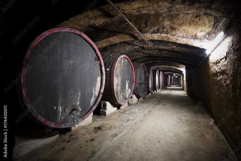 interior of an old wine cellar, barrels interior of an old wine cellar, barrels