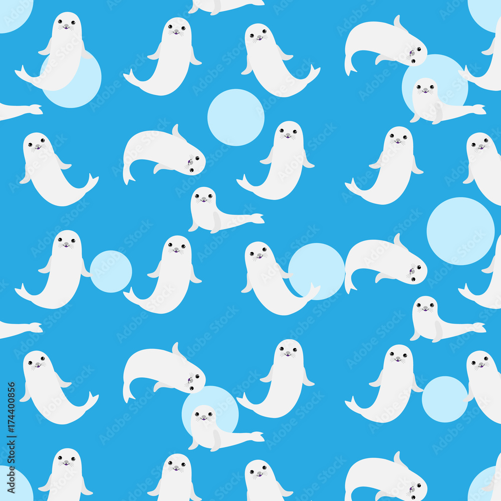 Cute baby sea lion on blue background Cute baby sea lion on blue background