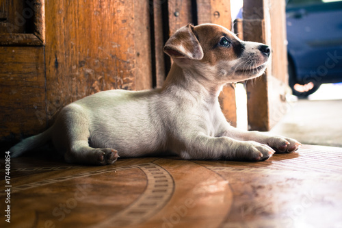 Foto otto the runner