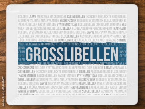 Großlibellen photo