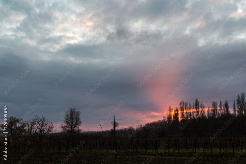 Some tree silhouettes beneath an overcast sky, with intense red sunset  tones  coming out through an hole and reflecting on clouds