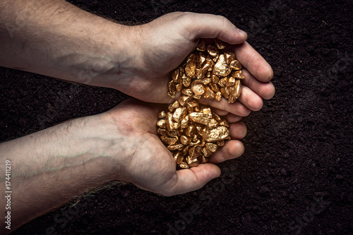 Gold nuggets the hands of the miner.  The working hands of a peasant with pure gold. top view