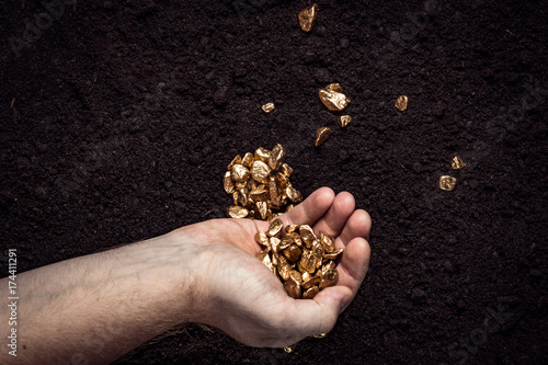 Gold nuggets the hands of the miner. The working hands of a peasant with pure gold. top view