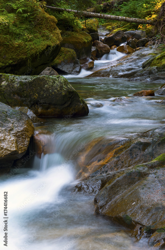Fototapeta premium Creek Waterfall Stream River Landscape Waterscape Background Wallpaper