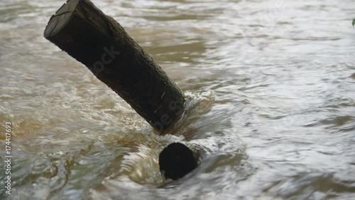 Wallpaper Mural A still shot of a cut tree branch in the middle of a stream.  Torontodigital.ca