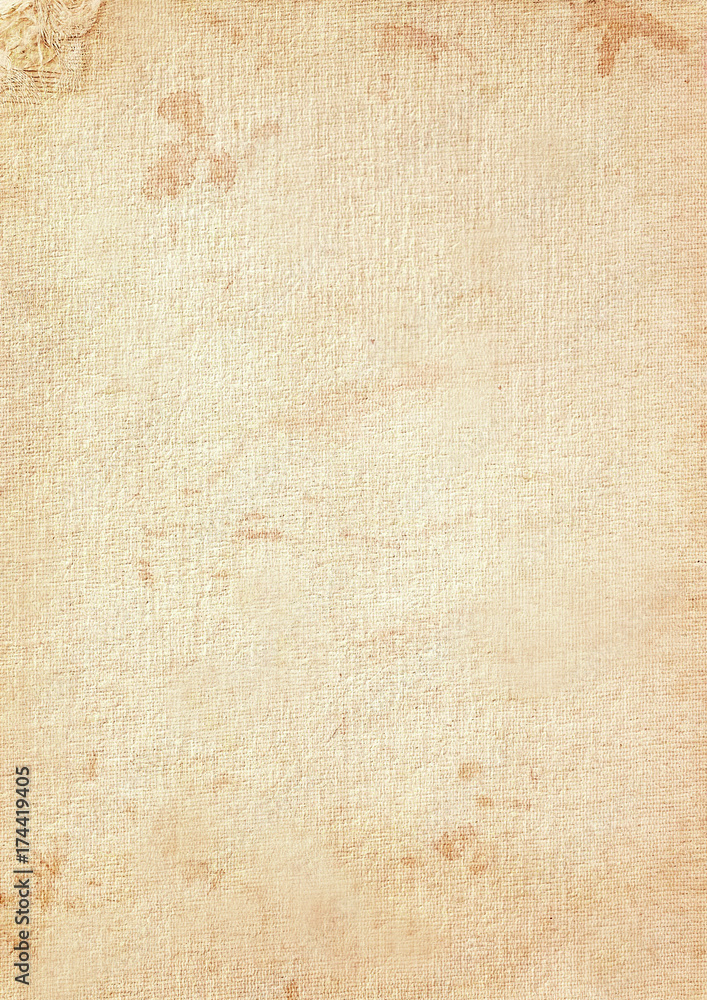 Fototapeta premium vertical blank old vintage paper