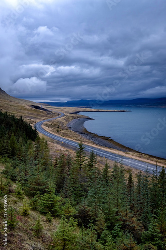 Vertical view of dramatic icelandic landscape with empty road next to a fjord.