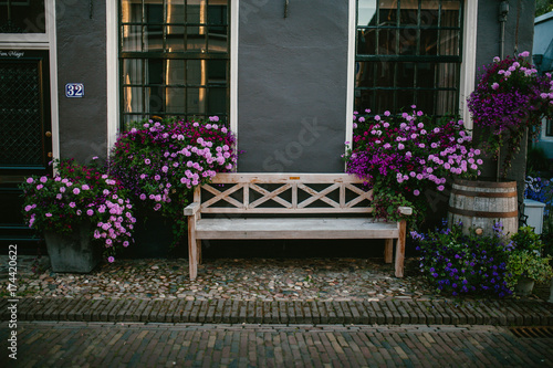 Bench outdoors with flowers