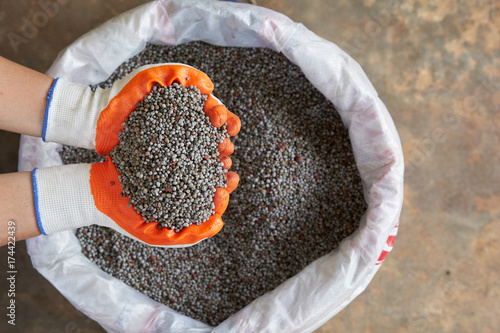 Chemical Fertilizer or Organic Fertilizer