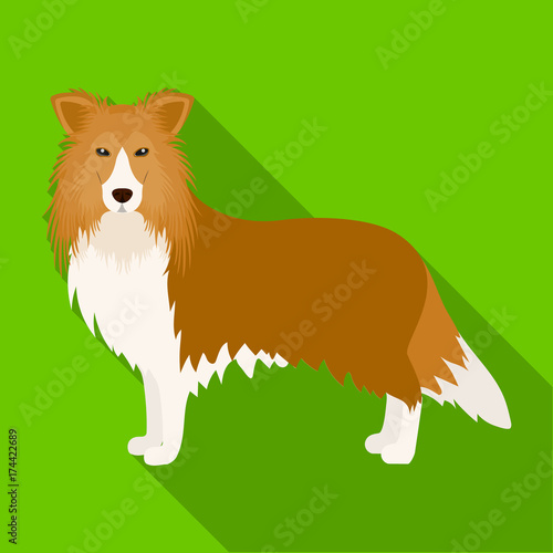 Laika single icon in flat style.Laika, vector symbol stock illustration web.