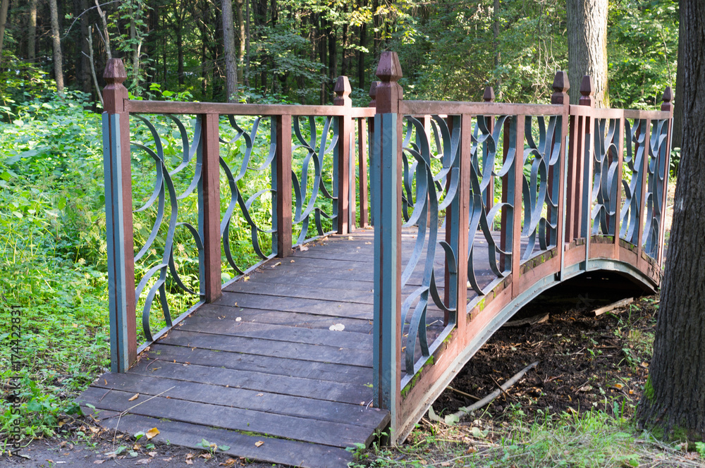 Fototapeta premium decorative bridge in the park at summer. background.