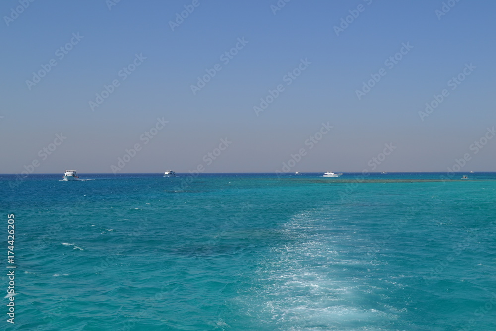 Red Sea Red Sea