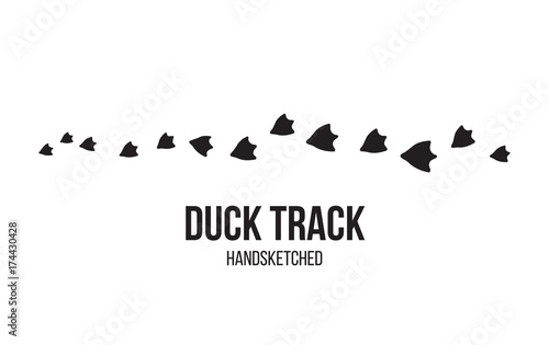Papier peint Isolated duck footprints and tracks