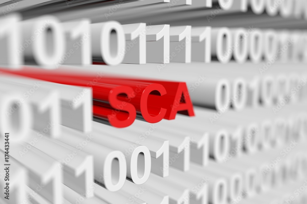 SCA as a binary code with blurred background 3D illustration