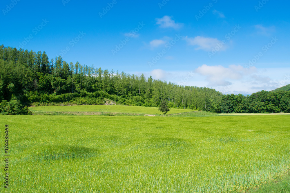 北海道 布礼別 北海道 布礼別