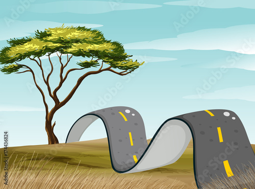 Curve road in the green field