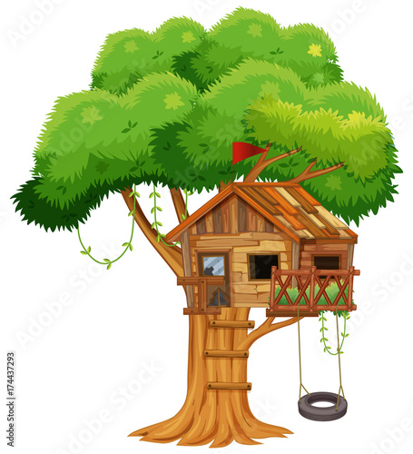 Old treehouse on the branch