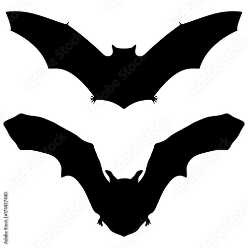 Bat silhouette on white background for Halloween