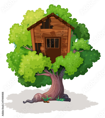 Old treehouse on the tree