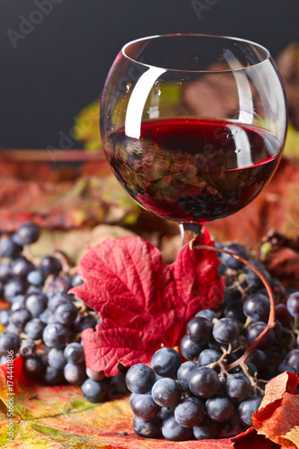 Red wine , grapes and dry vine leaves .