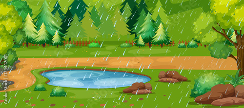 Rainy day scene with pond in the park