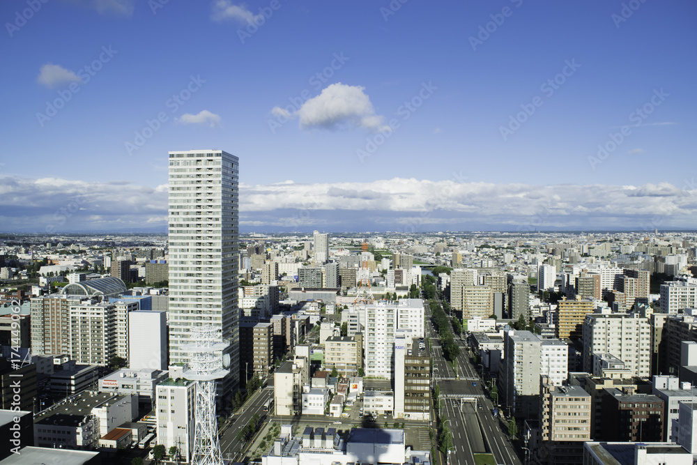 Obraz premium 札幌の街並み