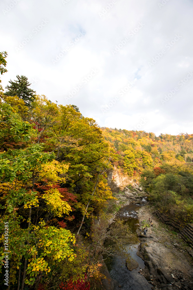 紅葉　北海道　恵庭渓谷