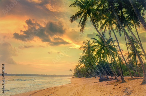 Sunrise on the coast with palm trees