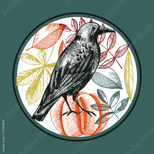 Hand-drawn crow, pumpkin and leaves