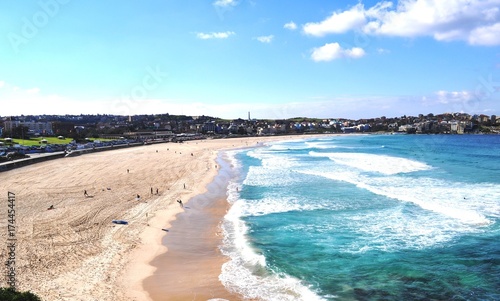 Bondi view