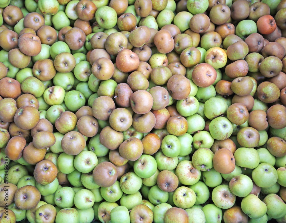 green organic apples in the box for sale in the wholesale market green organic apples in the box for sale in the wholesale market