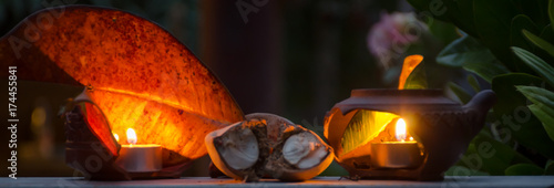 Tableau sur toile The fruit of the cocoa in a mysterious light