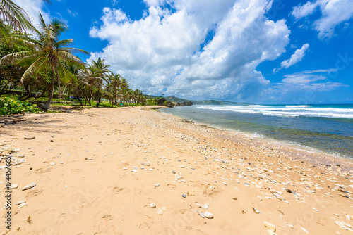 Rock formation on the beach of Bathsheba, East coast of  island Barbados, Caribbean Islands - travel destination for vacation © Simon Dannhauer