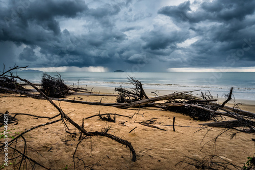Erosion of the coast, Dead trees and storm clouds at the beach in Thailand, global warming, climate change effect