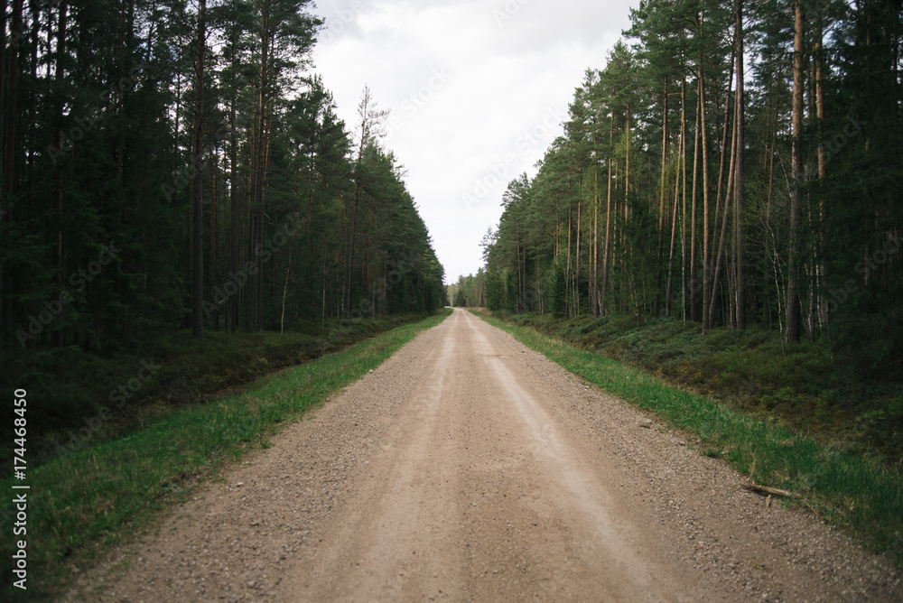 Fototapeta premium Country Road through the Forest