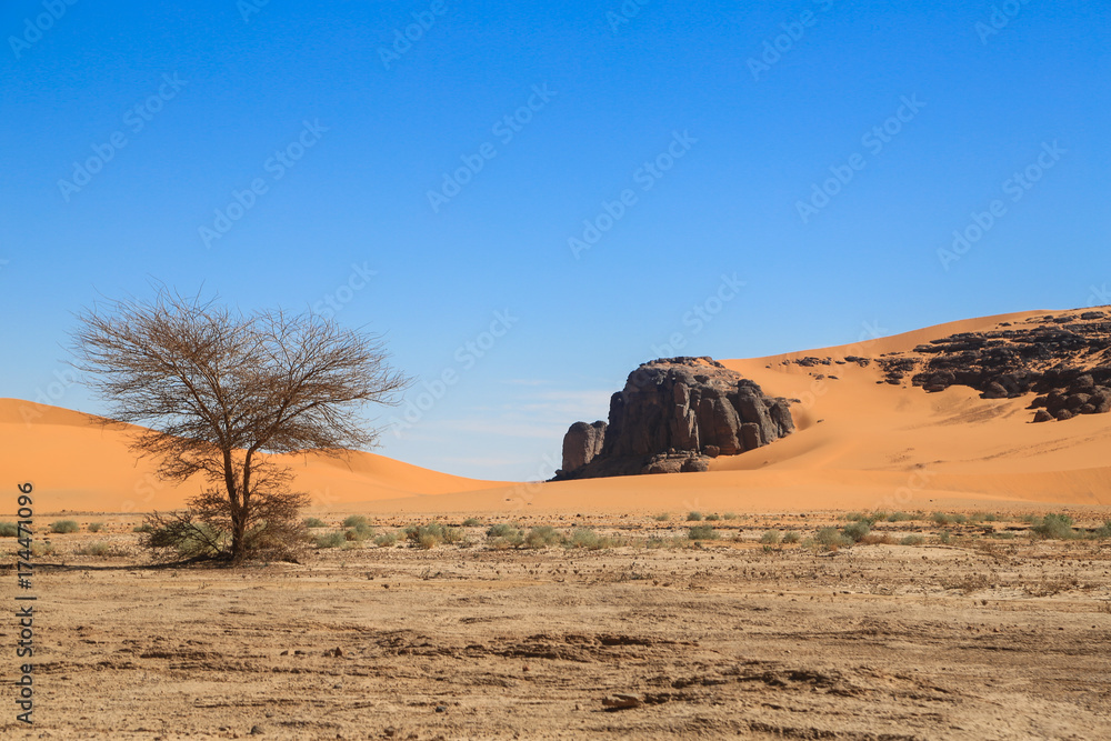 Algeria Sahara